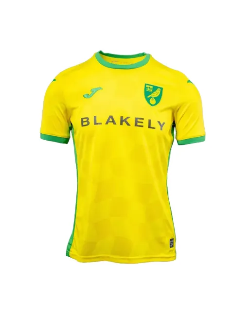 Jersey Norwich City Home 2024/25