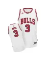 Dwyane Wade Chicago Bulls [white]