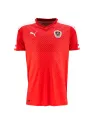 Jersey Austria Home Euro 2016