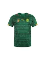 Jersey Cameroon Home 2014