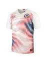 Jersey Chile Away 2018