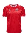 Jersey Denmark Home 2024