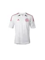 Jersey Denmark Away Euro 2012