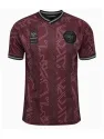 Jersey Denmark X Halo Edition Special 2024