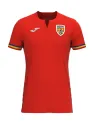 Jersey Romania Away 2024