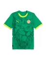 Jersey Senegal Away 2024/25