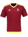 Jersey Venezuela Home 2015