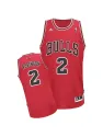 Nate Robinson Chicago Bulls [red]
