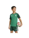 Jersey Algeria Away 2026 Junior Kit