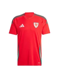 Maillot Pays De Galles Domicile 2024