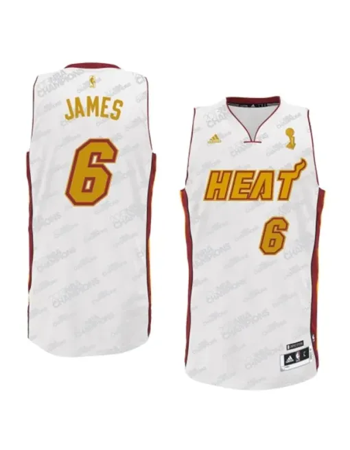 Lebron James Miami Heat [trophy]
