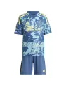 Ajax Amsterdam Away 2024/25 Junior Kit
