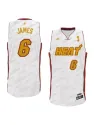 Lebron James Miami Heat [trophy]
