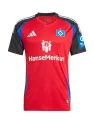 Jersey Hamburg SV Third 2024/25