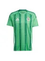 Jersey Northern Ireland Home 2024