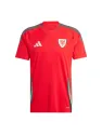 Jersey Wales Home 2024