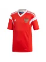 Jersey Russia Home 2018